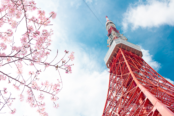 NÚI PHÚ SĨ - TOKYO                                                                             